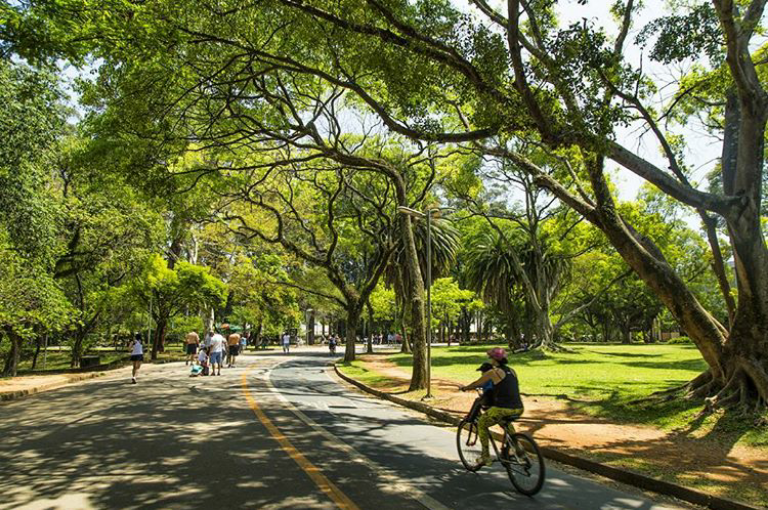 Ibirapuera tem o maior número de visitantes dos últimos cinco anos