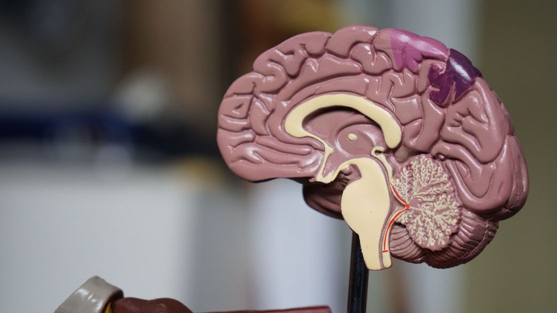 Veja os prós e contras do novo medicamento para tratar Alzheimer | CNN Brasil