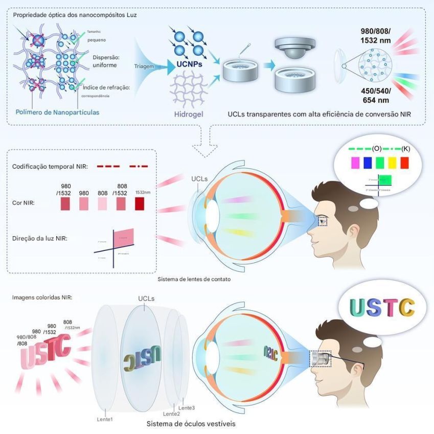 Resumo gráfico do trabalho • Yuqian Ma et al., Cell, 2025/Divulgação